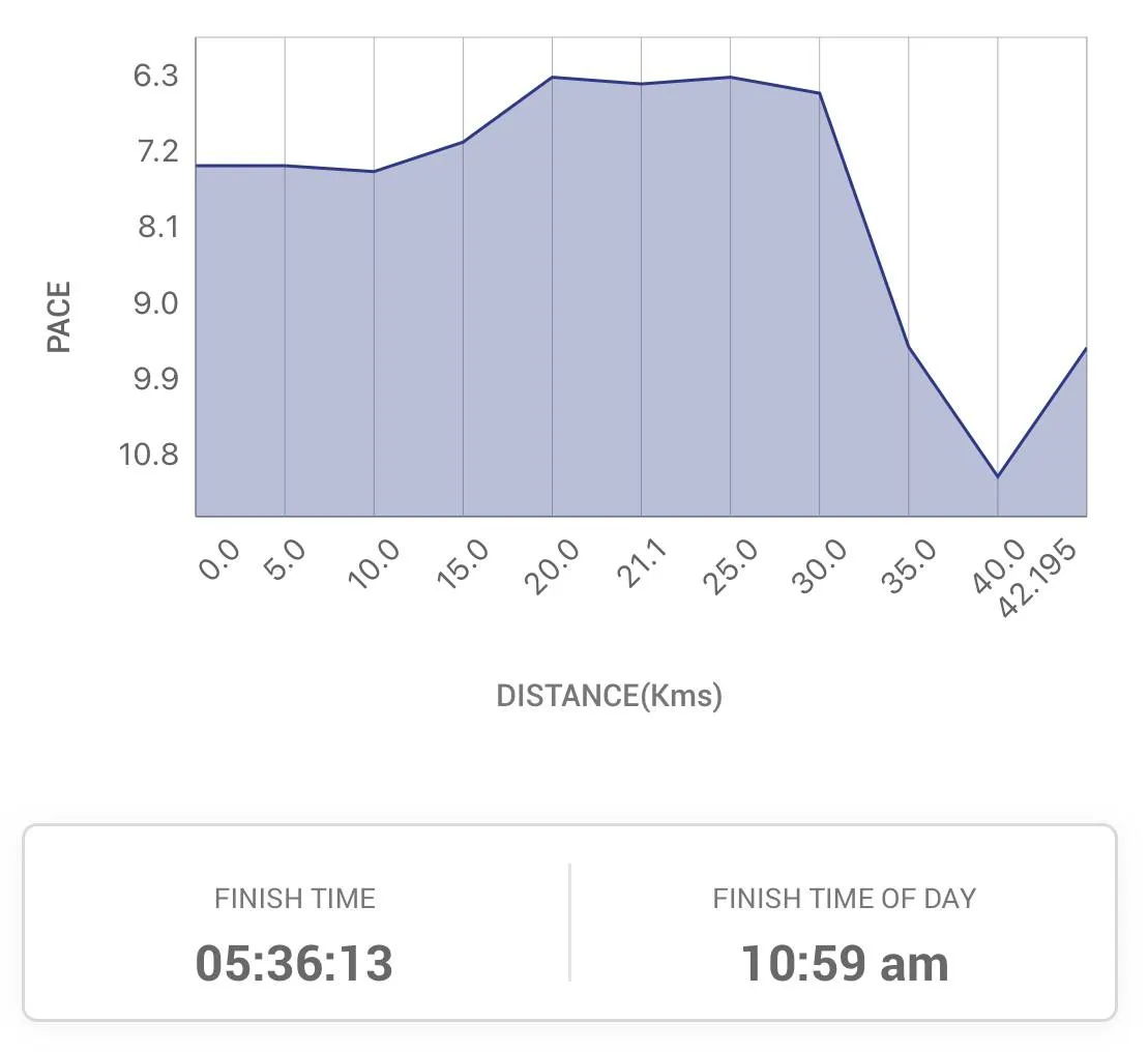 my race pace details for the marathon